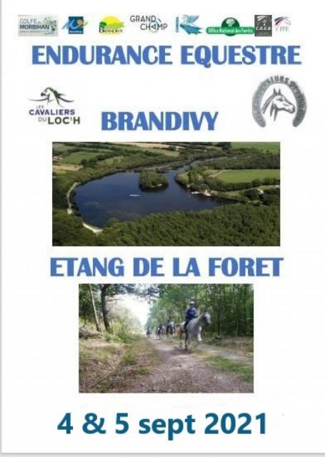 ENDURANCE EQUESTRE INTERNATIONALE (BRANDIVY 56)