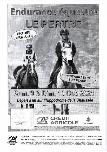 ENDURANCE EQUESTRE INTERNATIONALE (LE PERTRE 35)