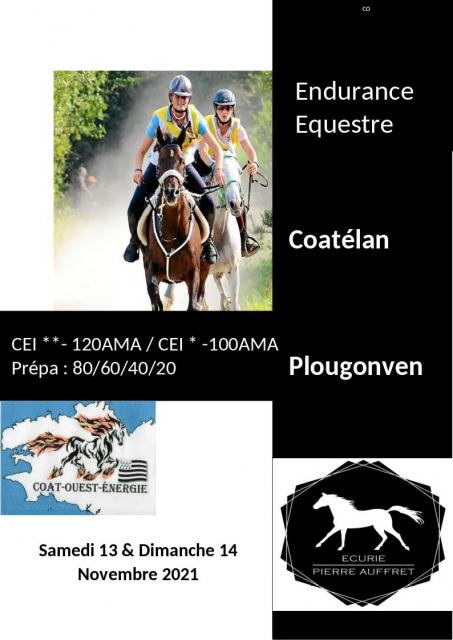 ENDURANCE EQUESTRE INTERNATIONALE (PLOUGONVEN 29)